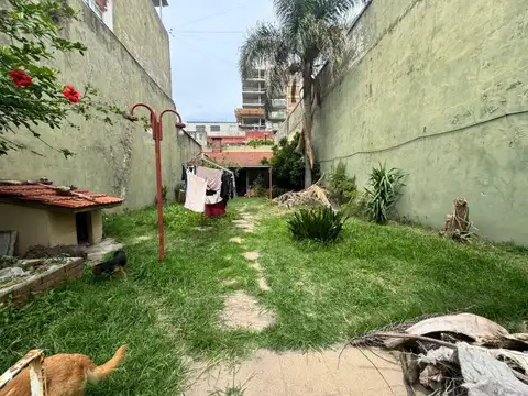 CÁTULO CASTILLO 2400