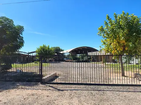 Se vende terreno con tinglados en Maipú, Mendoza