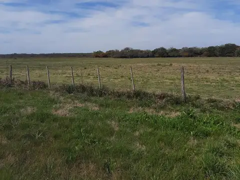 Terreno en Venta 61  mts Frente