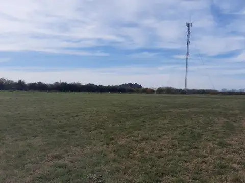 CAMINO ÑANADUBAYSAL LOTE 2