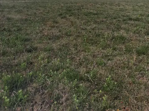Terreno en Venta en Ñandubaysal, USD 45.000