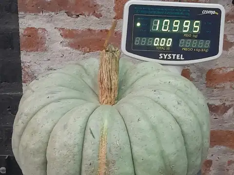 Capdevilla, Rp58 Y Altura Km 19.5