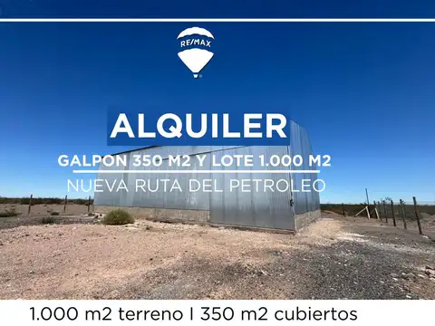 ALQUILER GALPON NUEVA RUTA DEL PETROLEO NEUQUEN