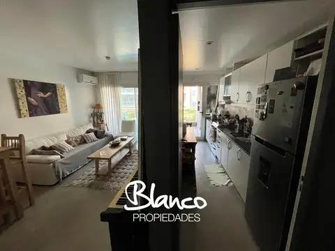 Jardines de san isidro -