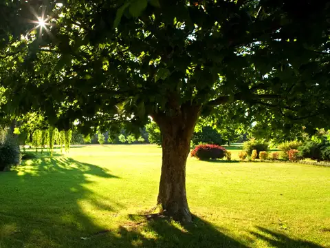 Jardín de Paz Oeste