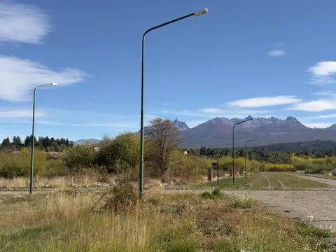 Caunquen Real 300