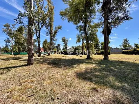 Lote en venta en Álvarez del Bosque 