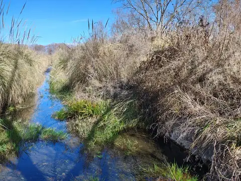Campo en Vista Flores