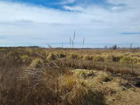 Campo en Vista Flores