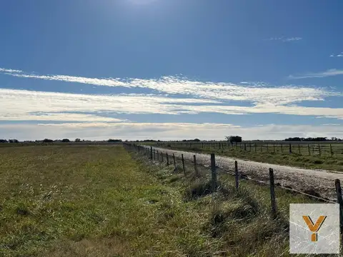 Campo en venta - 50 Hectáreas - General Madariaga