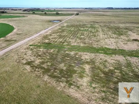Campo en venta - 50 Hectáreas - General Madariaga