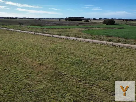 Campo en venta - 50 Hectáreas - General Madariaga