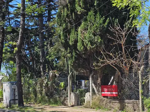 Terreno en Venta 30  mts Fondo