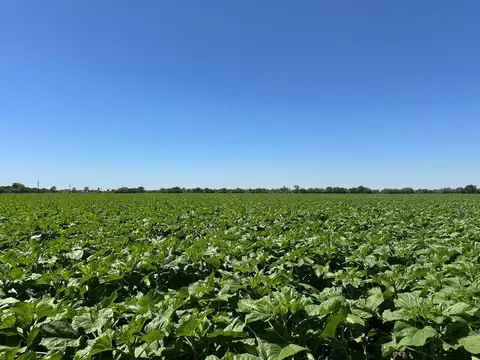 Ruta Nacional 34 100