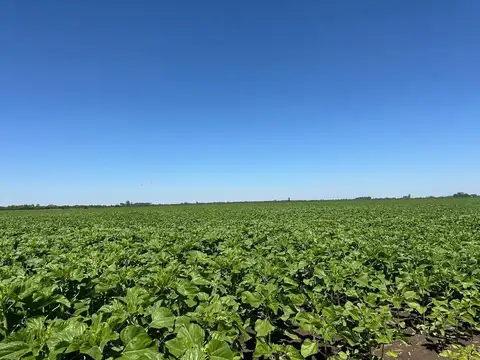 Ruta Nacional 34 100