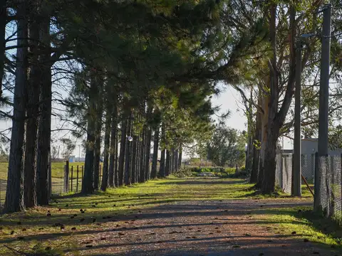 Terreno en Venta en Piñero, Rosario