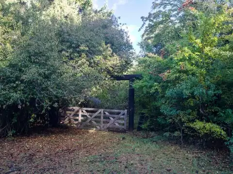 EN VENTA 1HECTÁREA EN QUILA QUINA  Lago Lácar San Martín de los Andes
