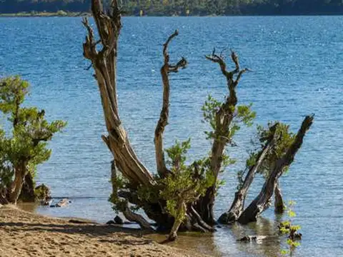 EN VENTA 1HECTÁREA EN QUILA QUINA  Lago Lácar San Martín de los Andes