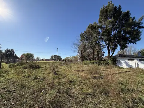 del Bicentenario al 200