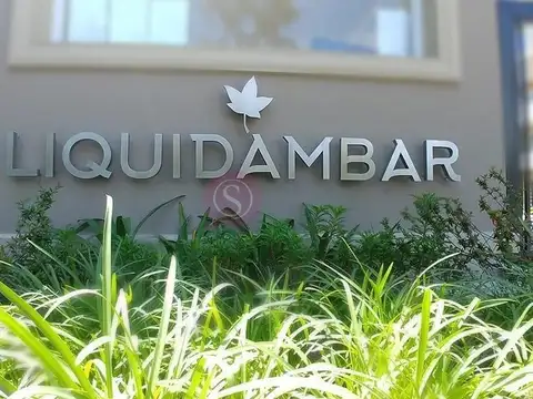 Liquidambar 100