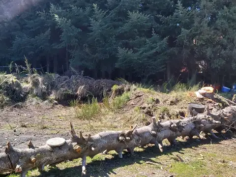 Terreno en Venta en Tres Cerros, USD 40.000