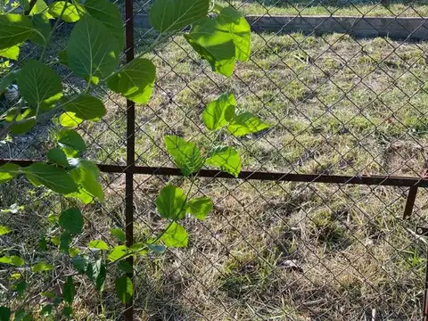 LOTE 300m2 Gral Rodríguez 50% y resto cuotas a convenir