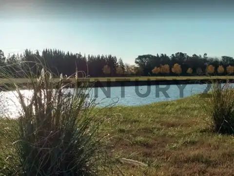 Venta de Lote en Campos de Roca II