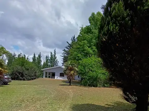 Miguel Bazan lote 14-15