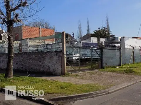 Rodriguez 100