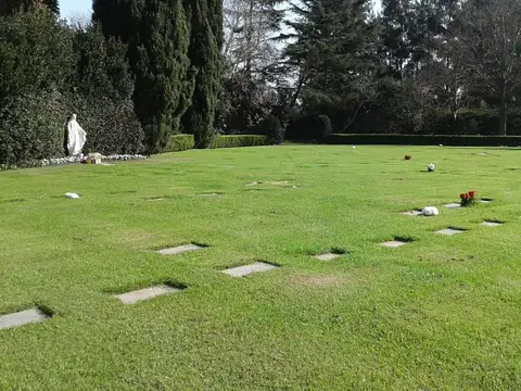 Parcela Frente a la virgen 
