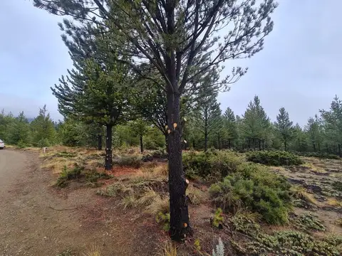 Terreno en Venta de 1000,0 m2