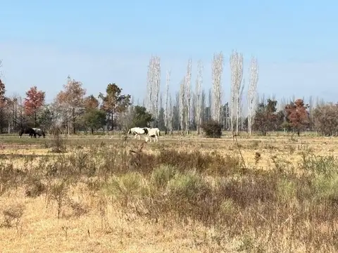 Terreno en Venta en Arroyo De La Cruz, USD 40.000