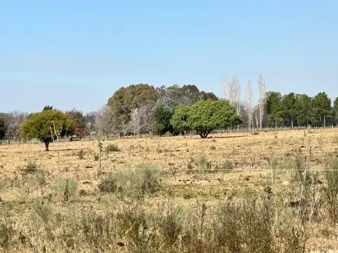 LOTE 3800 M2 BARRIO DE CHACRAS E. DE LA CRUZ