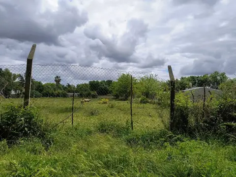 El Chingolo