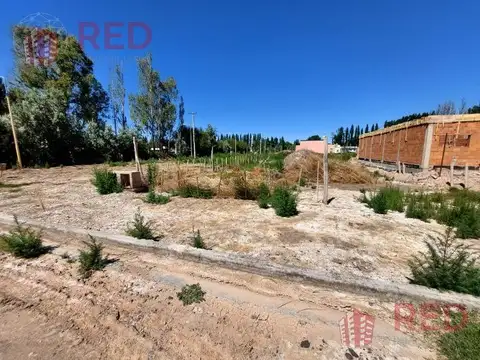 Terreno en Venta 31  mts Fondo