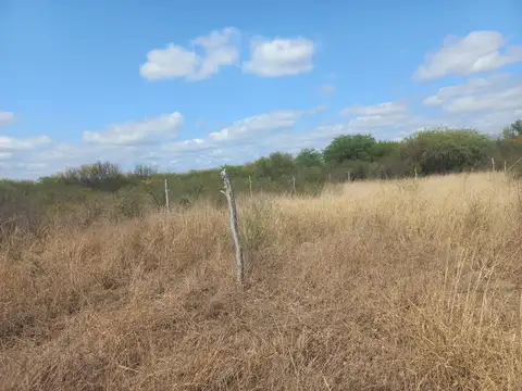 Terreno en Venta de 300,0 m2