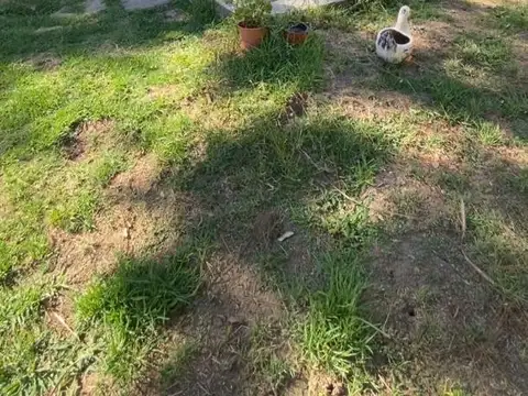 Terreno en Venta de 590,0 m2