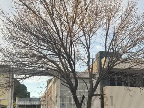 Galpón en Venta en Cordoba, Capital