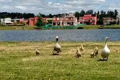 Áreas comunes piscina, club-house en San Francisco -Villanueva en G.B.A. Zona Norte, Buenos Aires