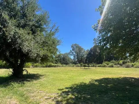 Soldado Argentino