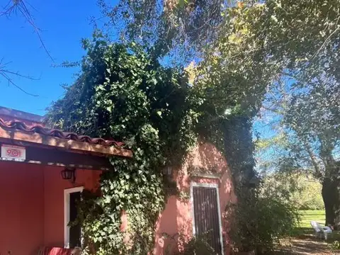 72 y 173, Los Hornos