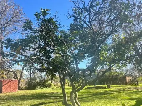 Campo en venta con Estancia, La Plata