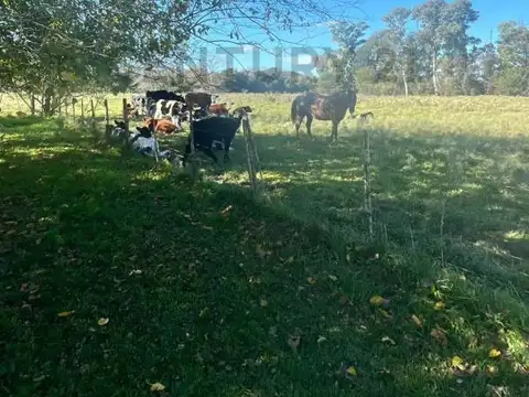 Campo con casco de estancia en venta – 7,13 hectáreas | Los Hornos, La Plata