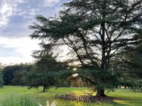 Terreno en venta - 2794mts2 - Carlos Keen