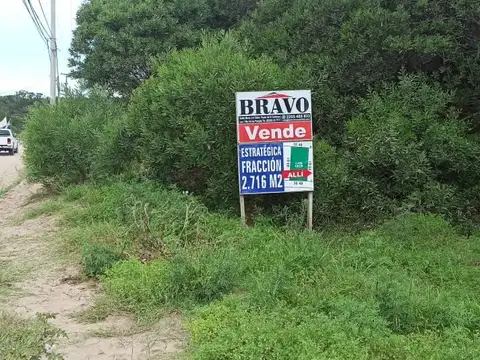Colonia Marina 19CP 100