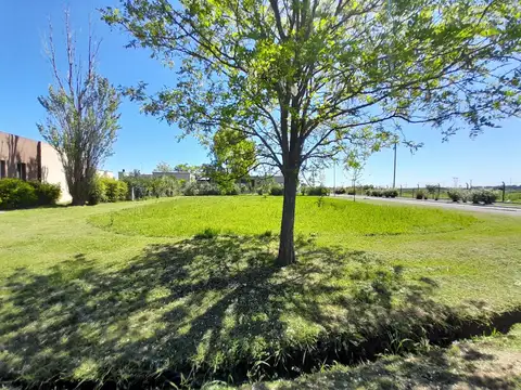 Terreno en Venta 15  mts Frente