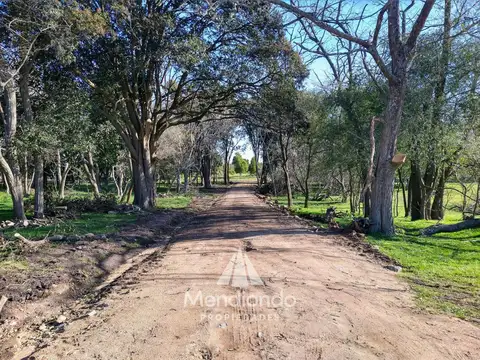 Terreno en Venta en Balcarce, USD 23.500