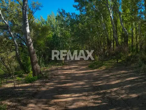 Terreno en Venta en Plottier, USD 58.500