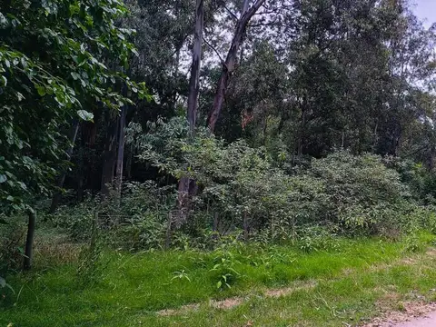 Terreno en Venta de 582,0 m2