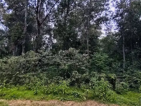 Terreno en Venta en Colonia Del Sacramento, USD 24.900